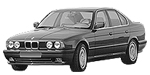 BMW E34 P0010 Fault Code
