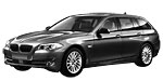BMW F11 P0010 Fault Code